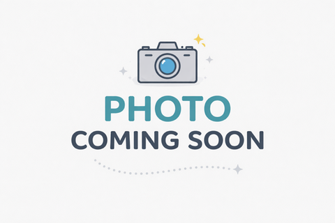 Jr. Anthony Rollerball